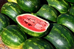 come coltivare il cocomero