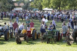 fiere agricole a maggio