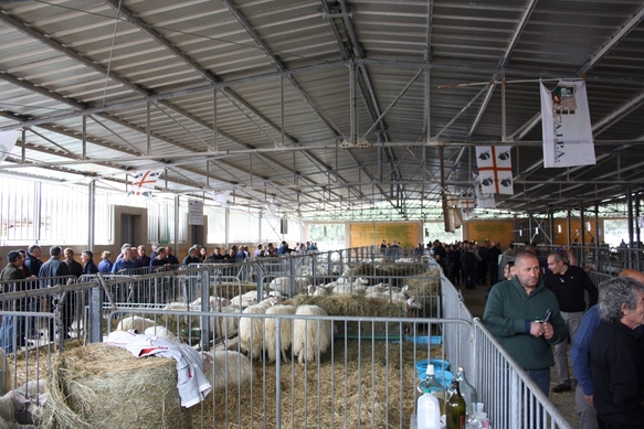 fiere agricole a maggio
