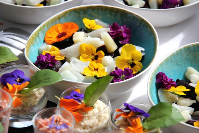 fiori-commestibili-edibili-eduli