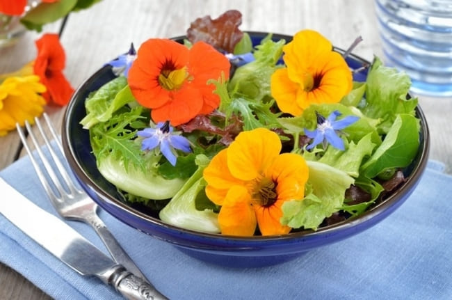 insalata-di-fiori-commestibili-eduli-edibili