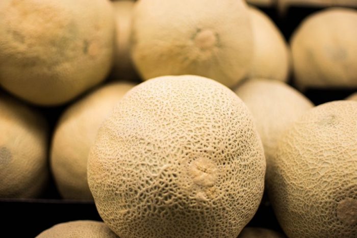 come coltivare il melone