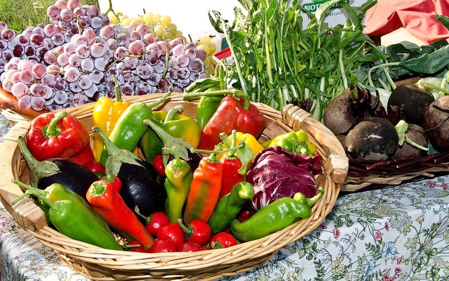 fertilizzante per orto biologico