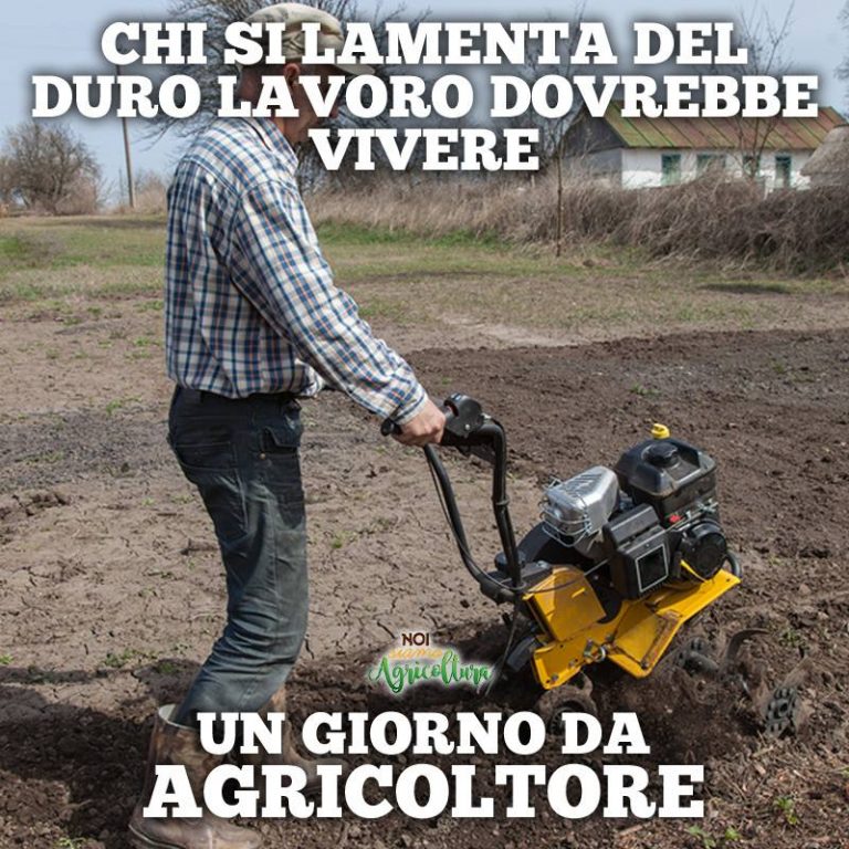 Solo chi lavora la terra sa veramente quanto è dura Noi Siamo Agricoltura
