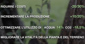 aumentare la produzione di olio d’oliva
