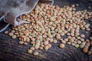 coltivare lenticchie