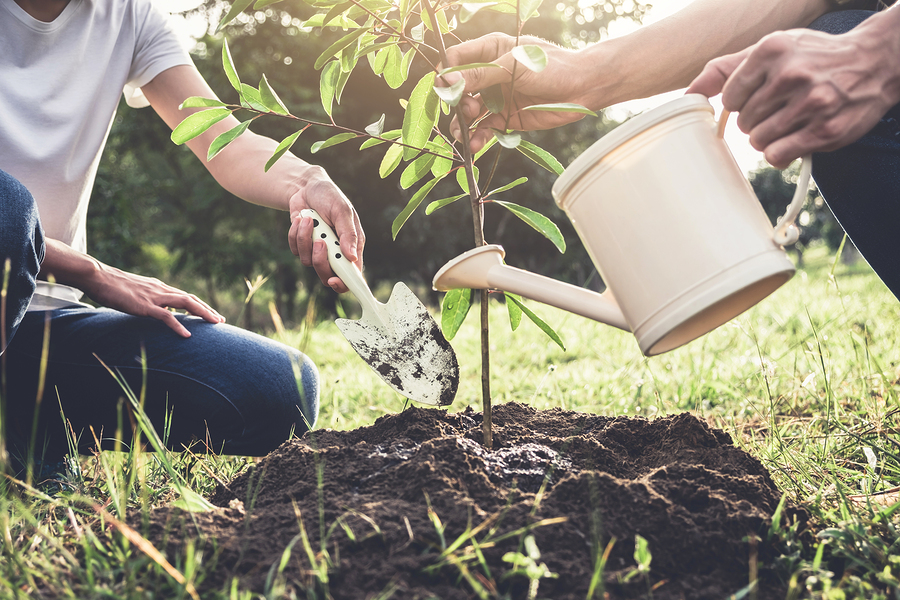 fiere agricole a Luglio