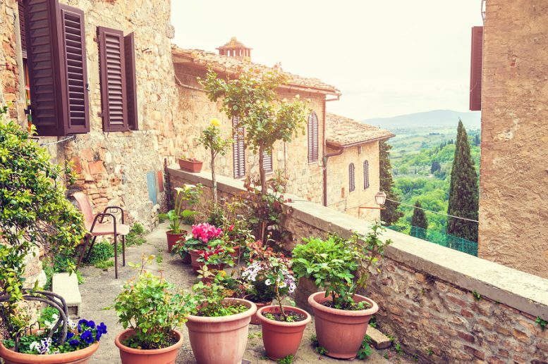 terrazzo con piante anti zanzare