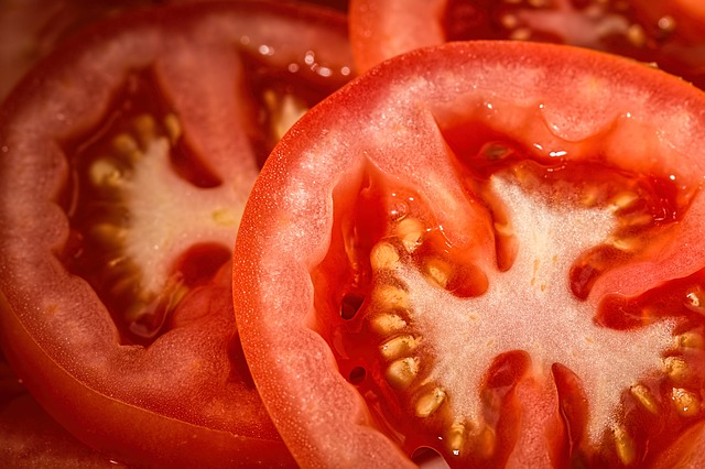 aumentare la resa dei pomodori da industria