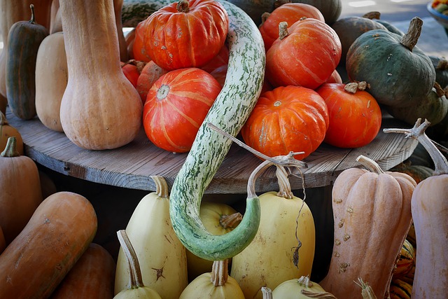 coltivare le zucche