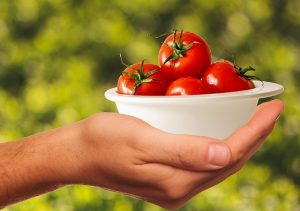 aumentare la resa dei pomodori da industria