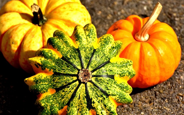 coltivare le zucche