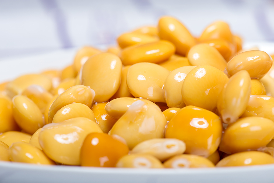 coltivare i lupini