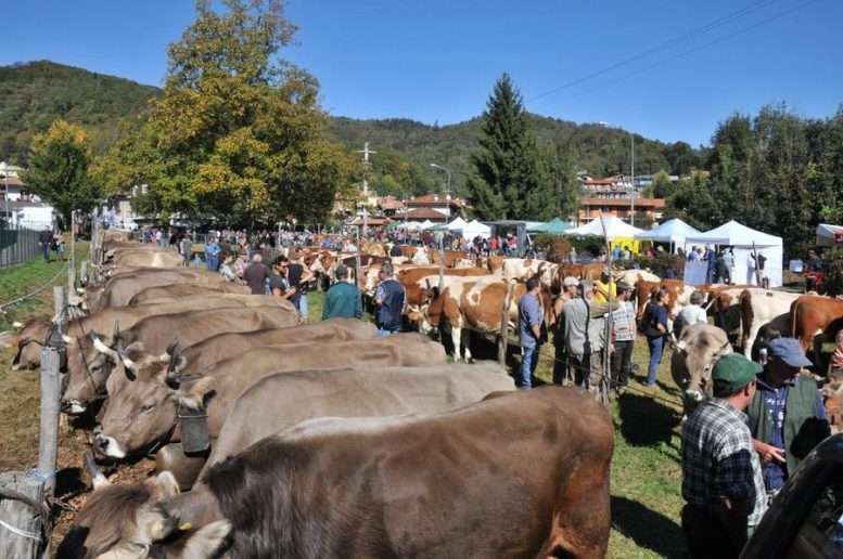 fiere agricole a giugno
