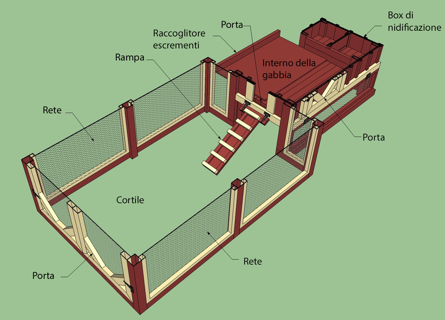 Come Costruire Un Pollaio I 5 Passi Per Realizzarlo Al Meglio