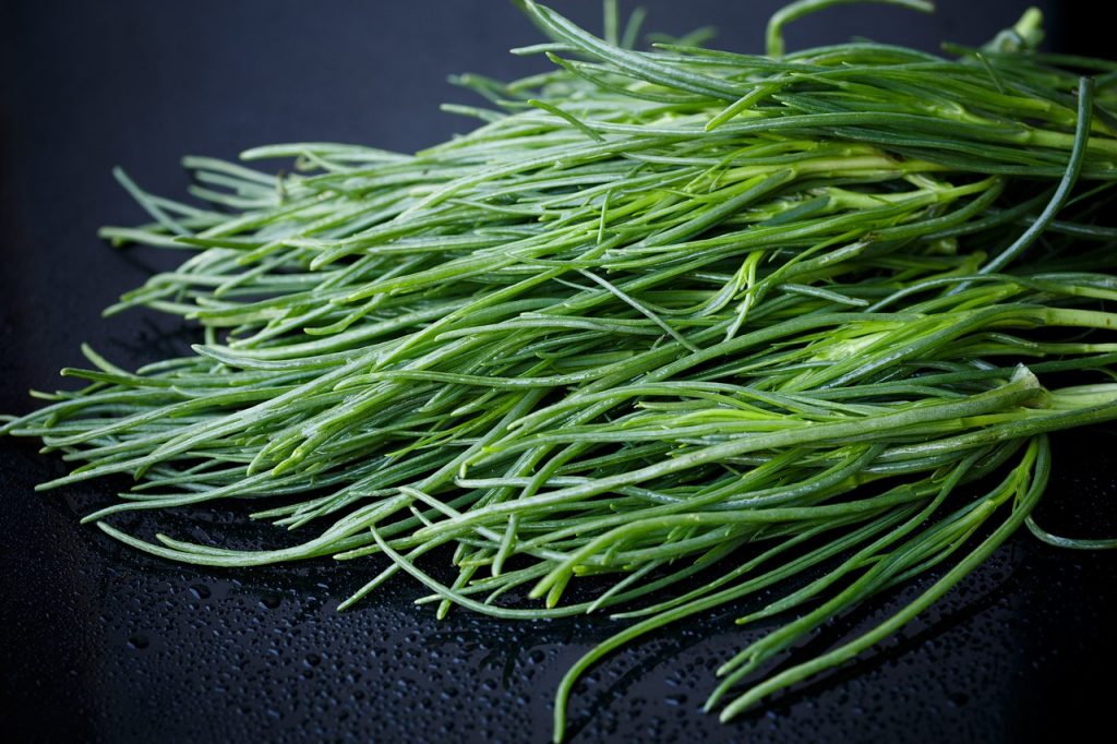 Come coltivare gli agretti o barba di frate