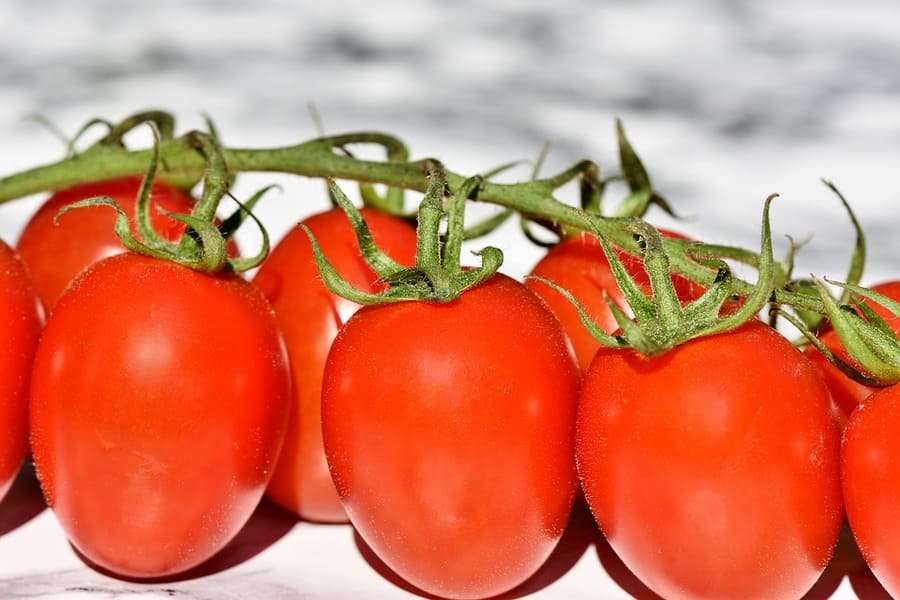 etichette pomodoro