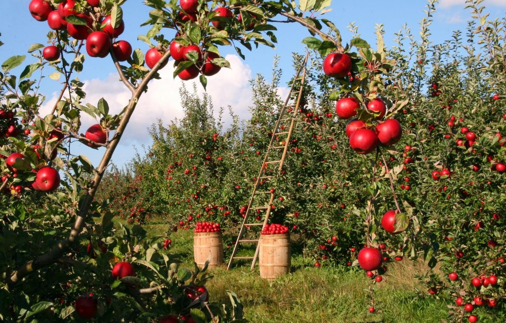 quanto costa aprire un agriturismo