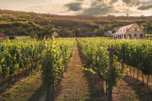 ome gestire un agriturismo