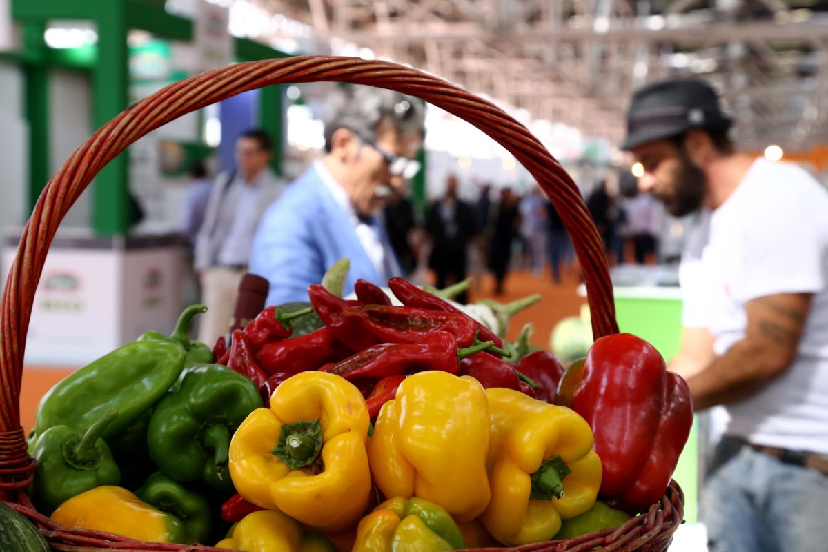 fiere agricole a settembre