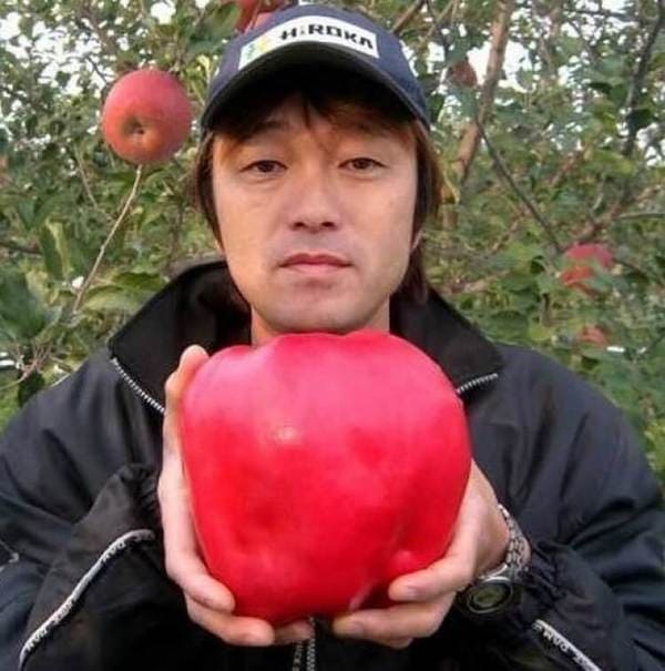 mela gigante