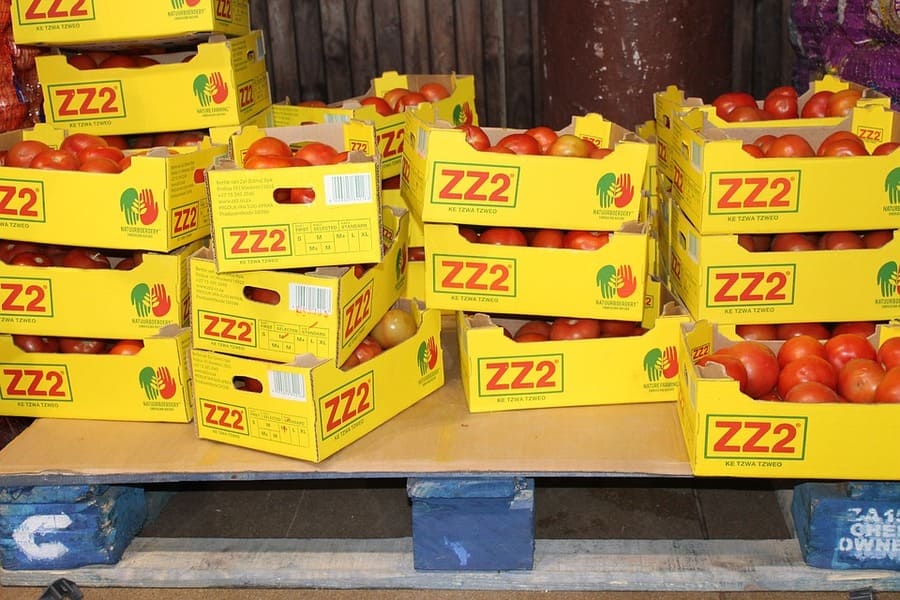 pallet pomodori