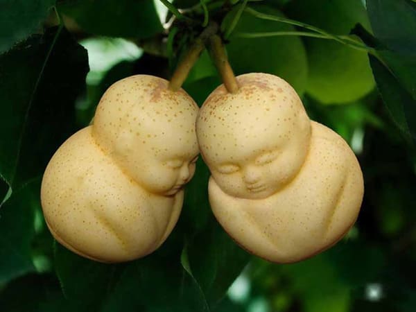 pere-bambino