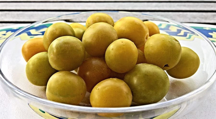 varietà di susine