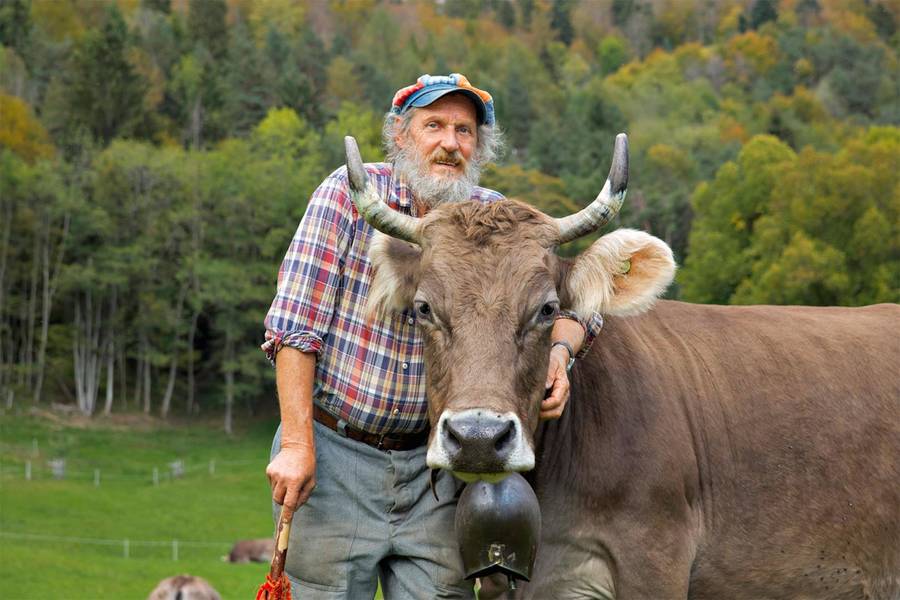 Referendum Svizzera