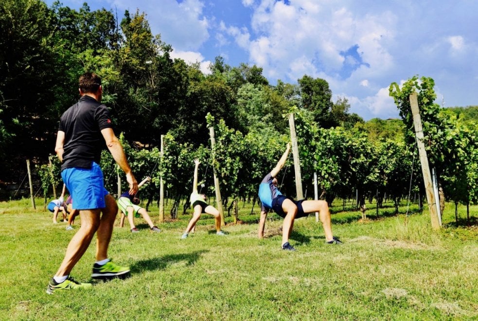 ginnastica tra le vigne in Franciacorta ginnastica tra le vigne