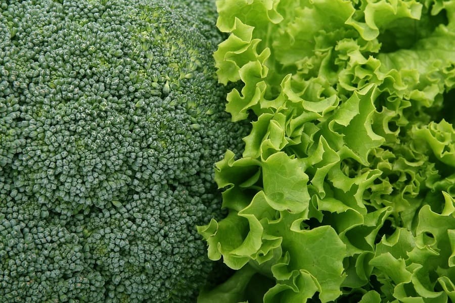 broccoli