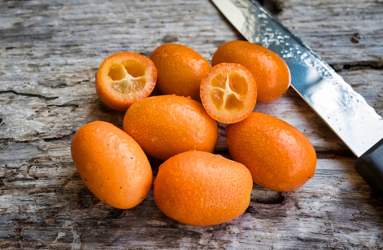 come coltivare il kumquat
