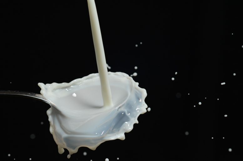 Prezzi del latte