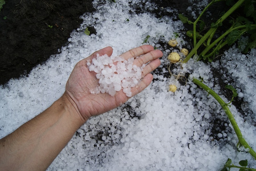 maltempo agricoltura