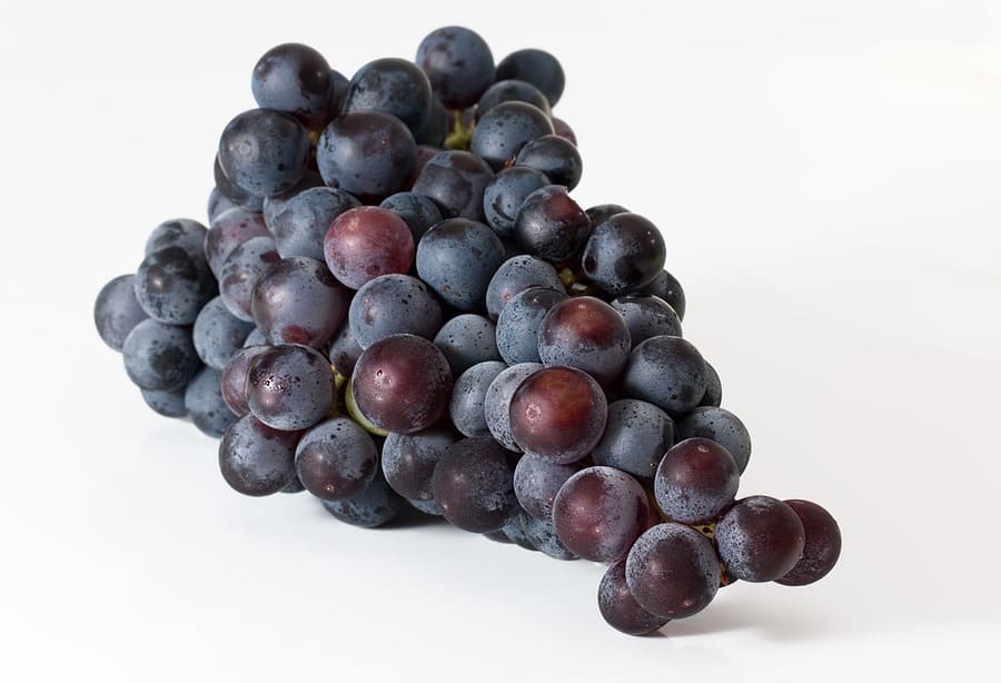 grappolo uva fragola