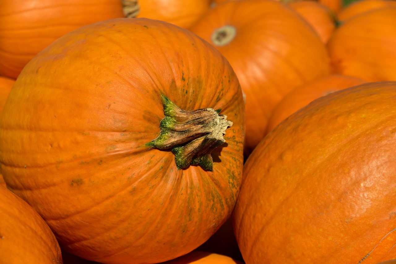 la zucca