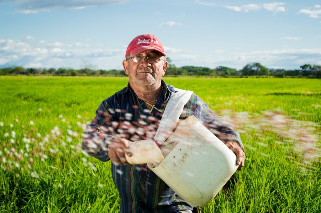 Infortuni nel settore agricolo