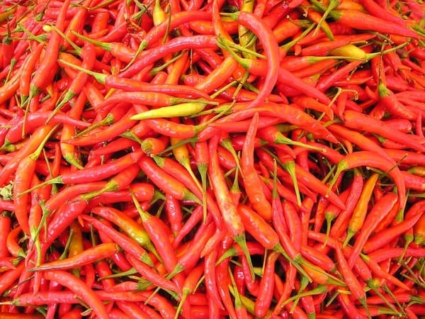peperoncini