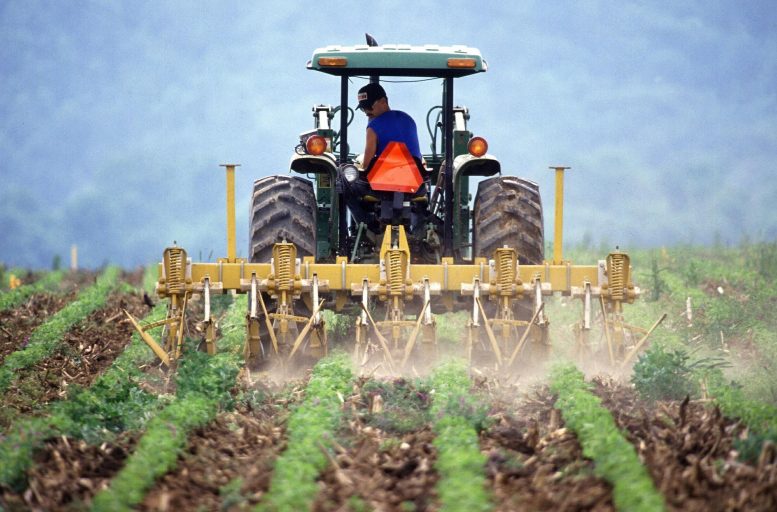 Agricoltura e turismo