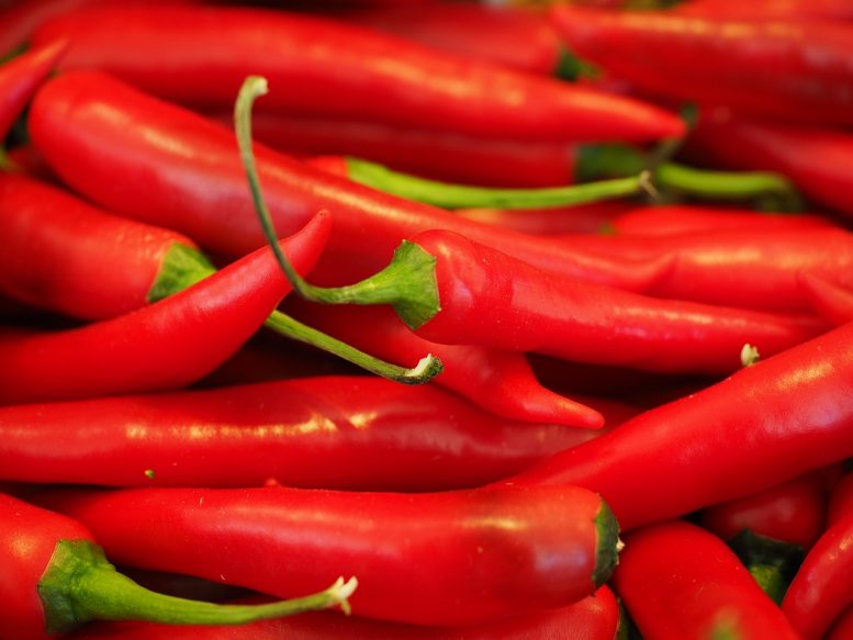 Peperoncino