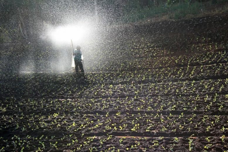 fertilizzanti rameici