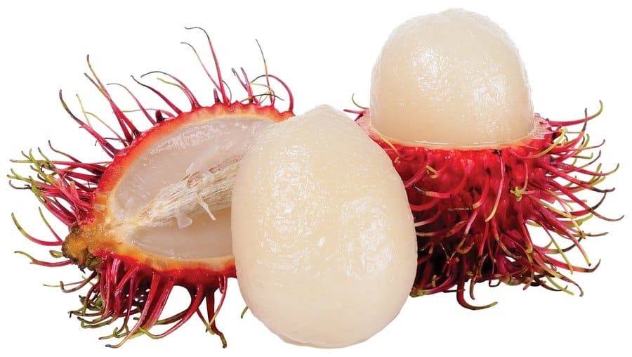 Rambutan