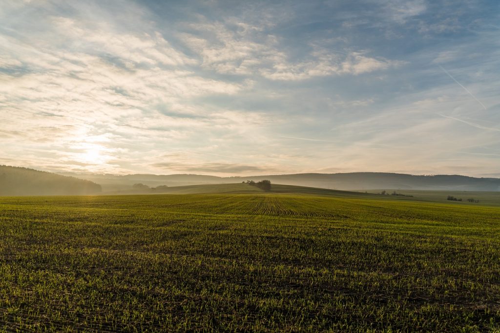 Black Friday in agricoltura