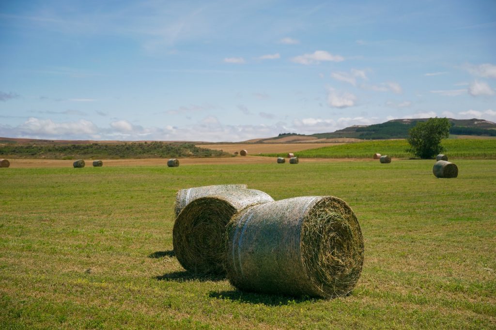 Black Friday in agricoltura
