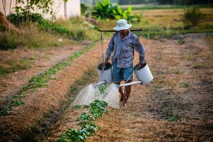 a chi spetta disoccupazione agricola