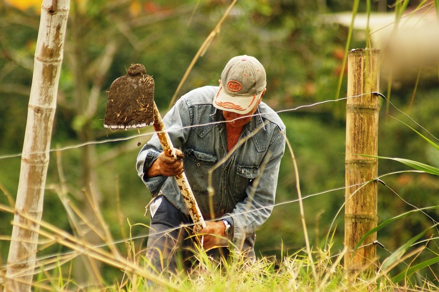 come diventare imprenditore agricolo professionale