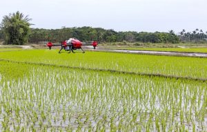agricoltura innovativa