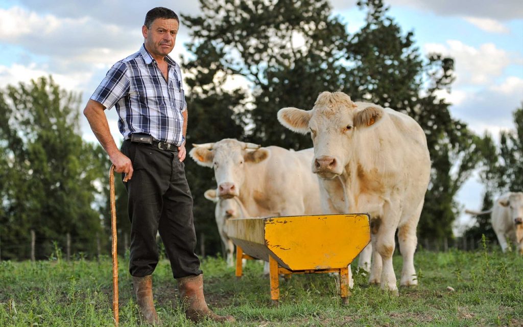 contratti agricoli