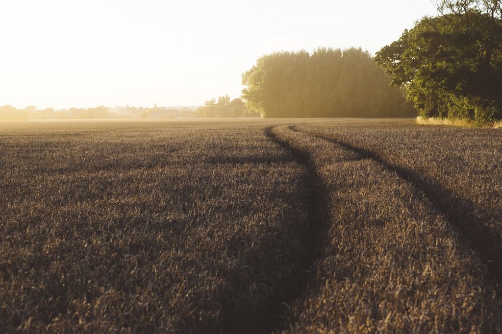 esenzione imu terreni agricoli