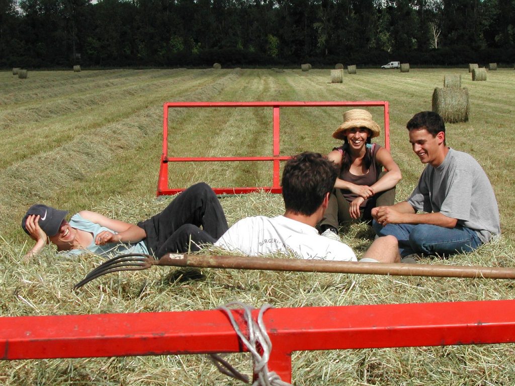 agricoltura e lavoro